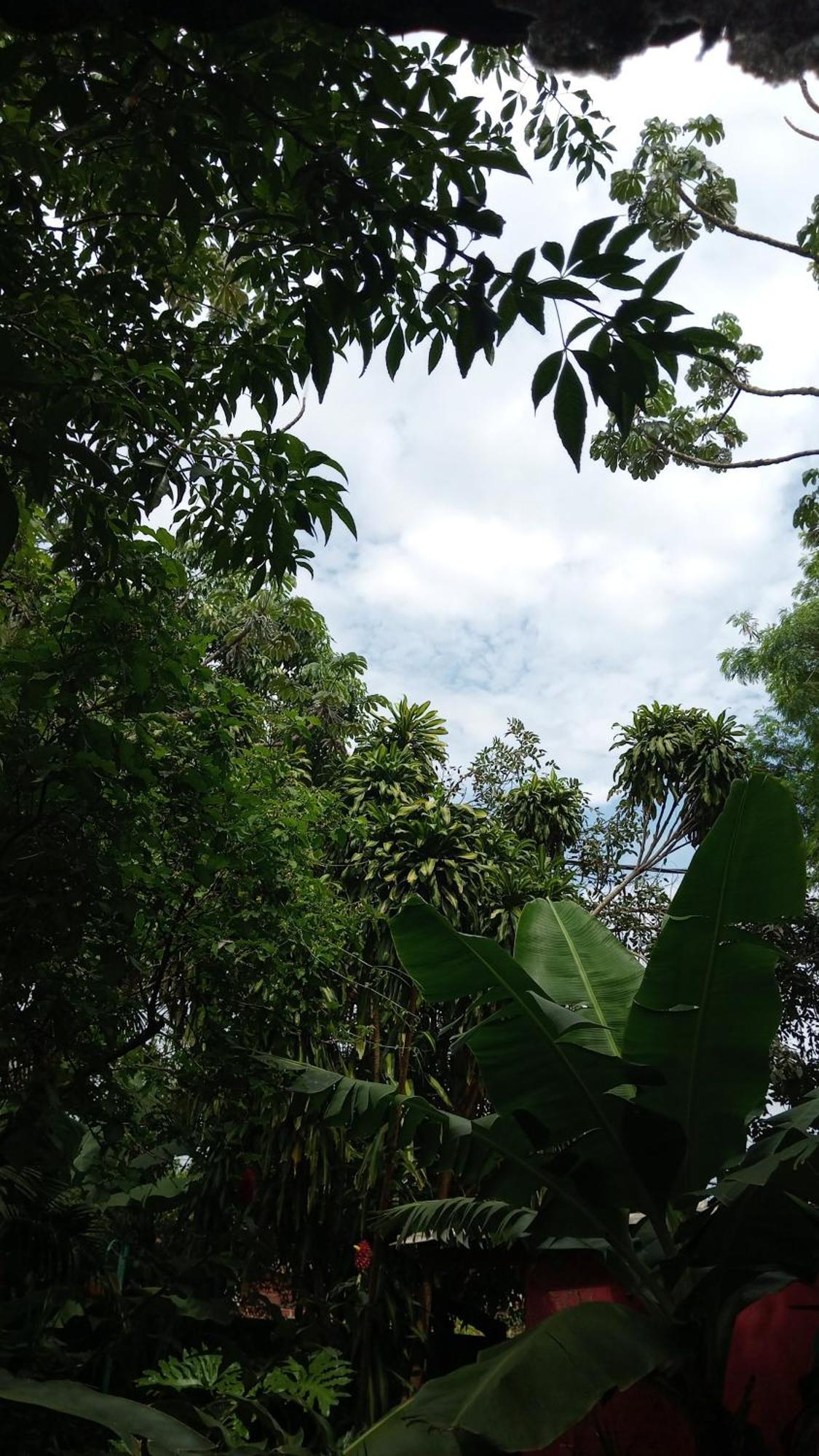 Posada María Iguazú Apartamento Puerto Iguazú Exterior foto