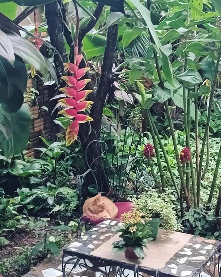 Posada María Iguazú Apartamento Puerto Iguazú Exterior foto