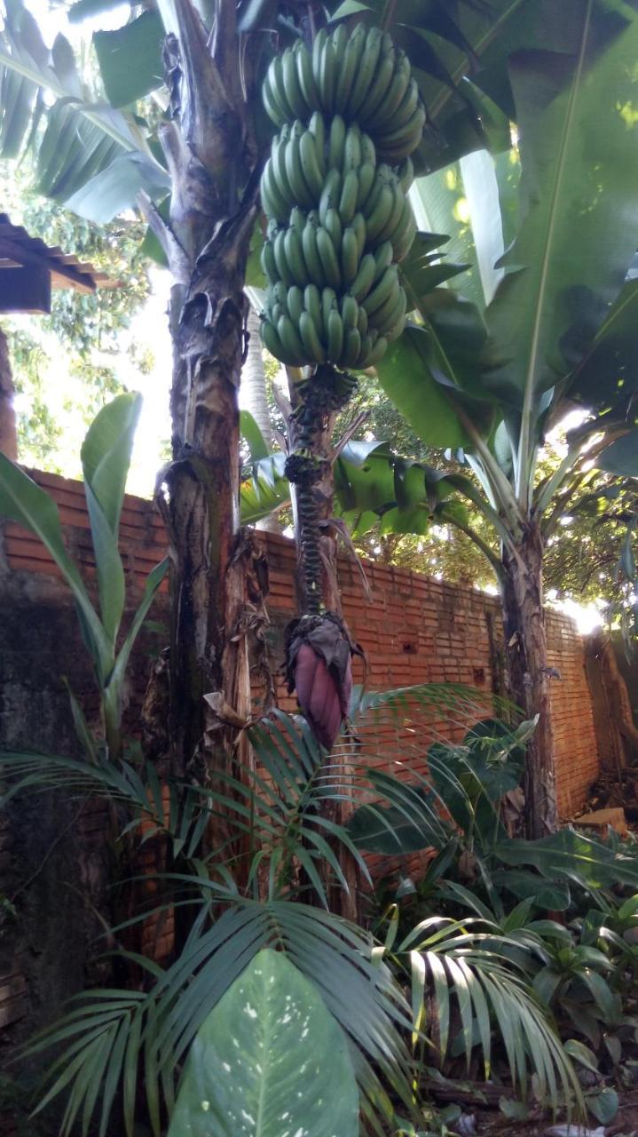 Posada María Iguazú Apartamento Puerto Iguazú Exterior foto